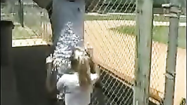 Blowjob through a fence