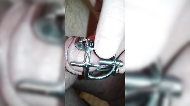 Replacing my micro steel chastity cage