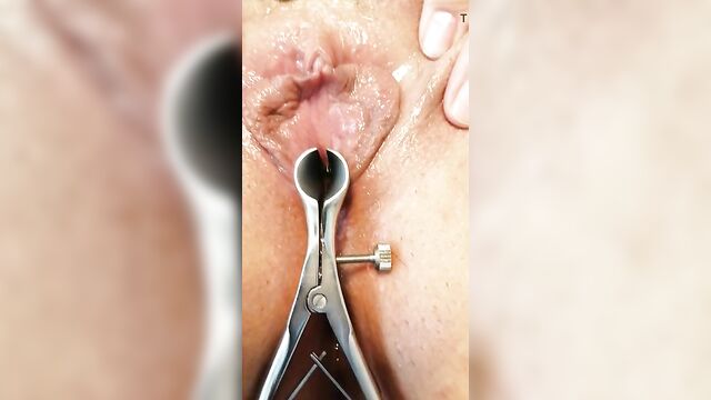 Urethra inspection on my HuCow MUHCILLA sounding
