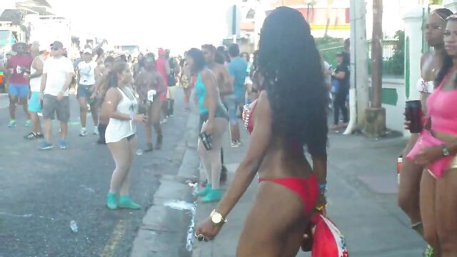 Carnival 2015