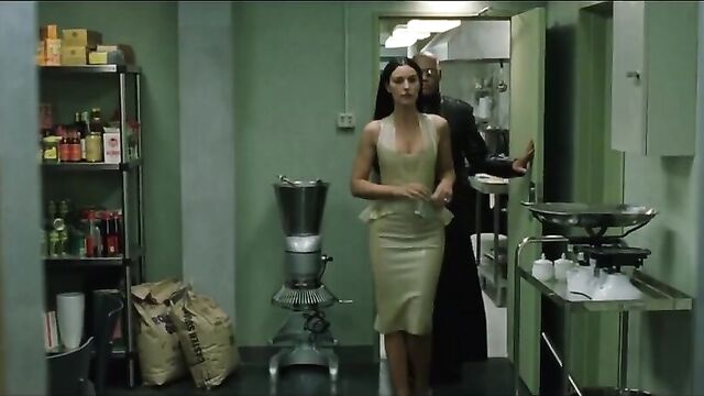 Monica Bellucci - Matrix - Sexy edit