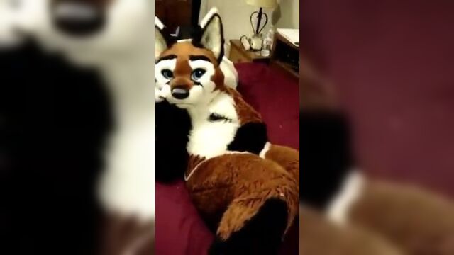 female fox masturbating