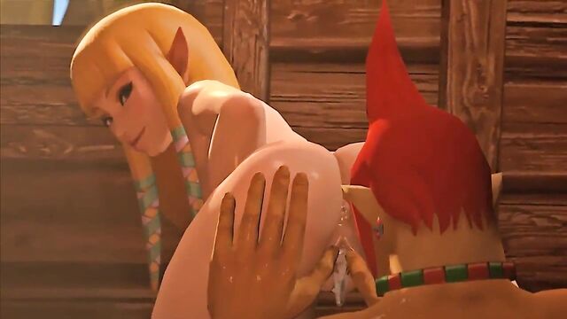 Princess Zelda, Hot Doggy Creampie