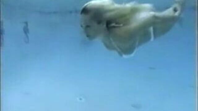 underwater bikini 2