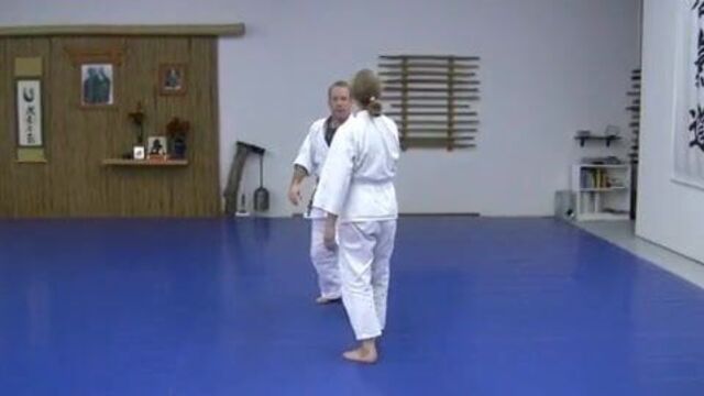 KEMPO ALMIGHTY AIKIDO KENPO