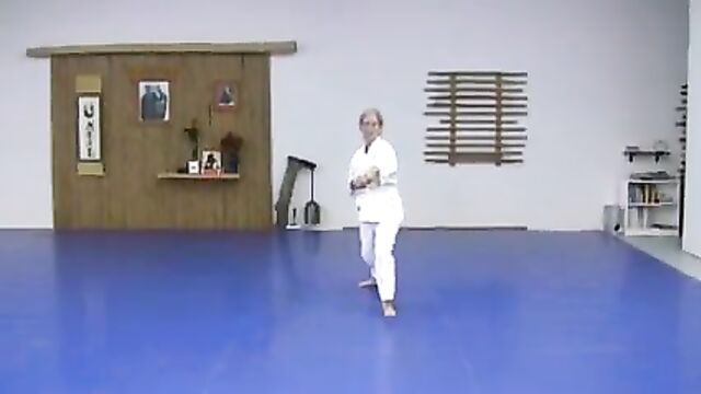 KEMPO ALMIGHTY AIKIDO KENPO