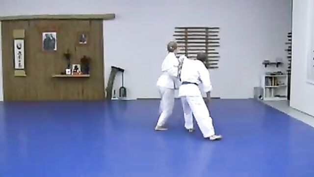 KEMPO ALMIGHTY AIKIDO KENPO