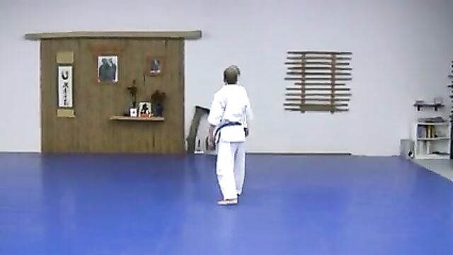 KEMPO ALMIGHTY AIKIDO KENPO