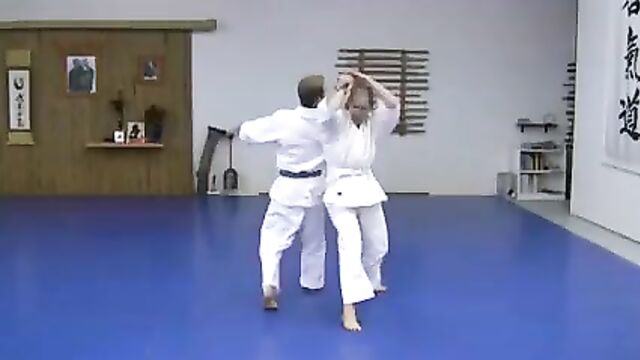 KEMPO ALMIGHTY AIKIDO KENPO