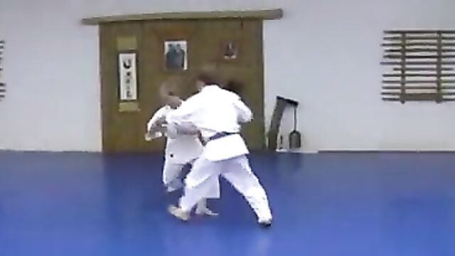 KEMPO ALMIGHTY AIKIDO KENPO