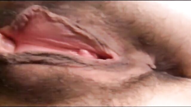 Hairy pussy lips