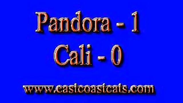 Pandora vs Cali