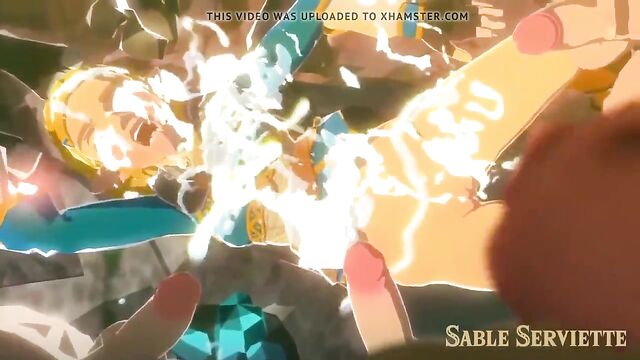 Sable Serviette - Princess Zelda