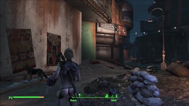 Fallout 4 Emogene The Mission