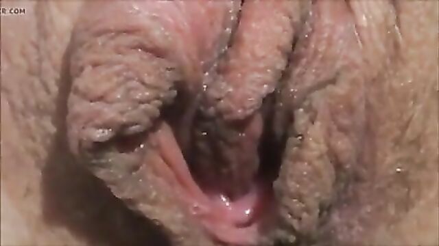 Beautiful Large Labia Up Close