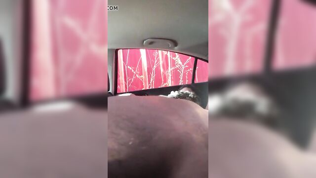 Couple Making Out In Car