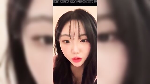 inster cumtribute (kim sj)