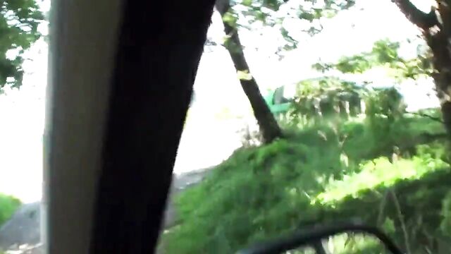 Vacation Blowjob in car