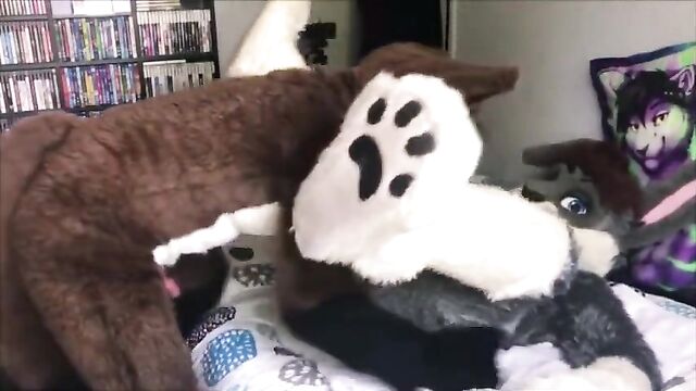 Brown Canine Fucks a Gray Bunny (Furry)