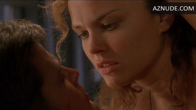 Dina Meyer naked in a shower and sex scene