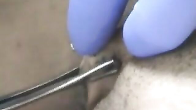 Horizontal clit hood piercing