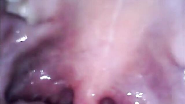 cam in mouth vagina and ass