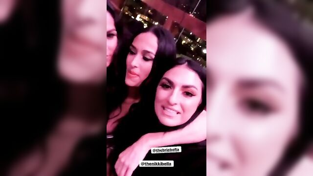 WWE - Sonya Deville, Nikki Bella, and Brie Bella selfie 02