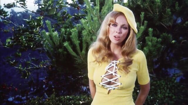 Angelique Pettyjohn in The Curious Female