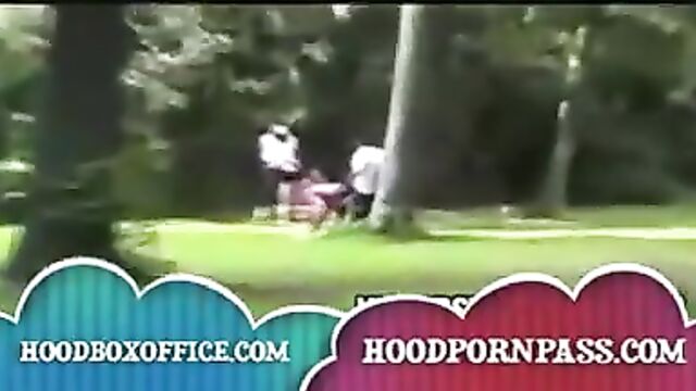 Black Felons Fuc outside in park instead of picking up trash