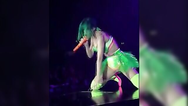 Katy Perry Flashes Crotch