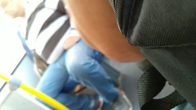 Urso maludo no onibus