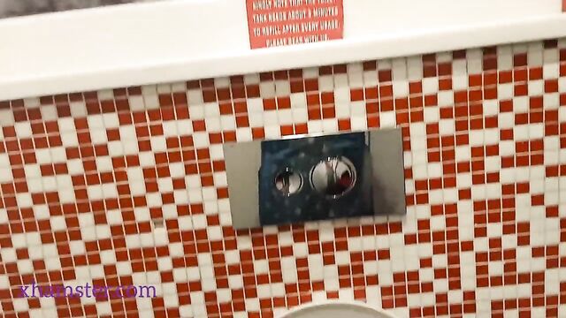 Sangeeta Goes To A Mall Unisex Toilet And Gets Horny While Pissing And Farting (Telugu Audio)