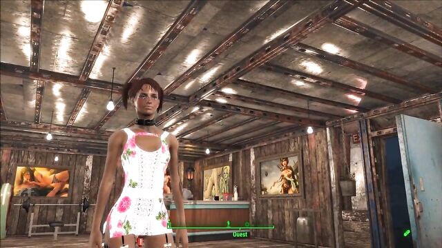 Fallout 4 Joana play