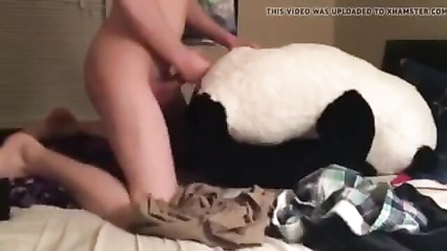 Lucky panda