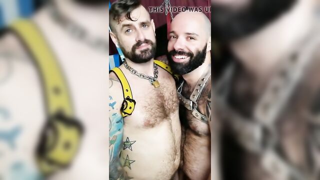 2 hairy otters