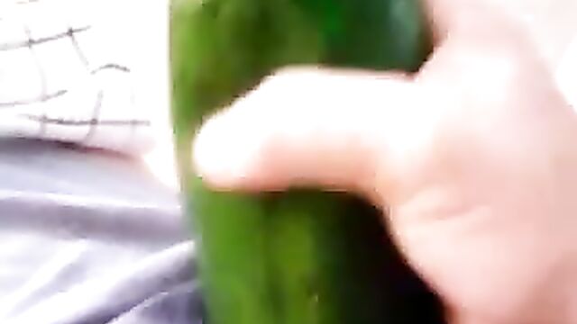 Cucumber Fun as a Fleshlight