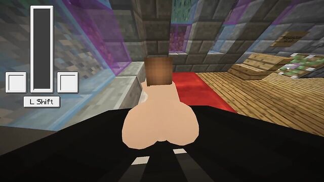 Minecraft sex mod