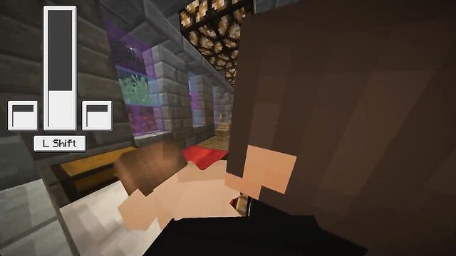 Minecraft sex mod