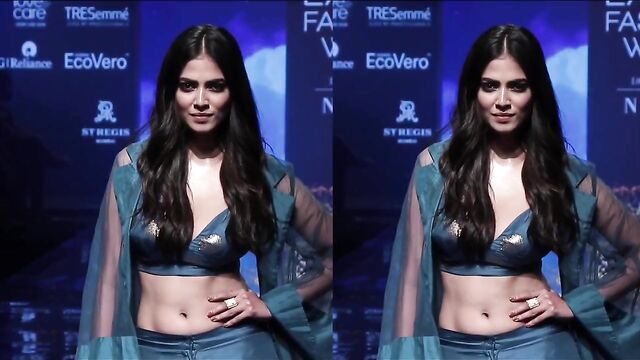 NON PORN Malavika Mohanan Sexy South Indian Actress & Model