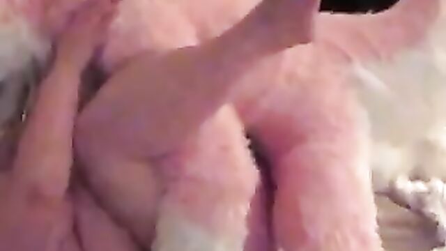 Pink husky fucks bbw til he cums