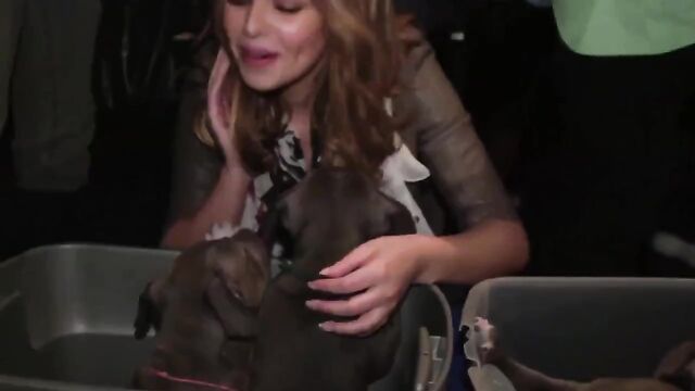 Cheryl Cole: Puppy Love!