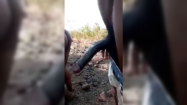 Big cock for African slut