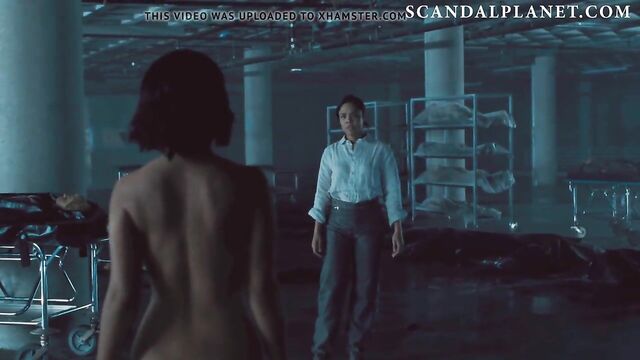 Tessa Thompson Nude from Westworld On ScandalPlanet.Com