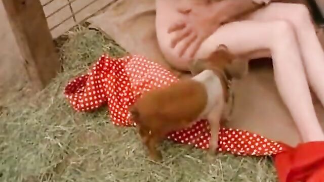 Hot Teen Sex in a Pig Paddock (1970s Vintage)