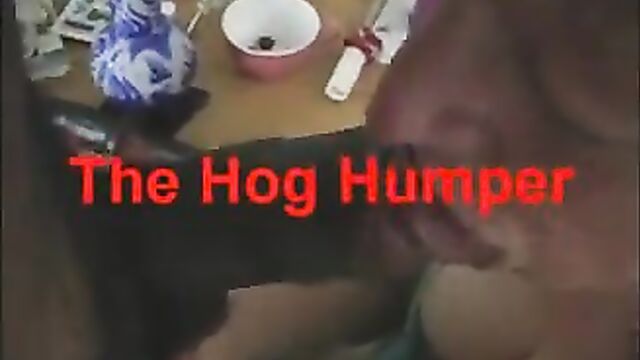 TheHogHumper - Racial Name Calling & Black Dick Sucking