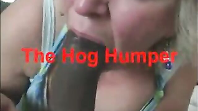 TheHogHumper - Racial Name Calling & Black Dick Sucking