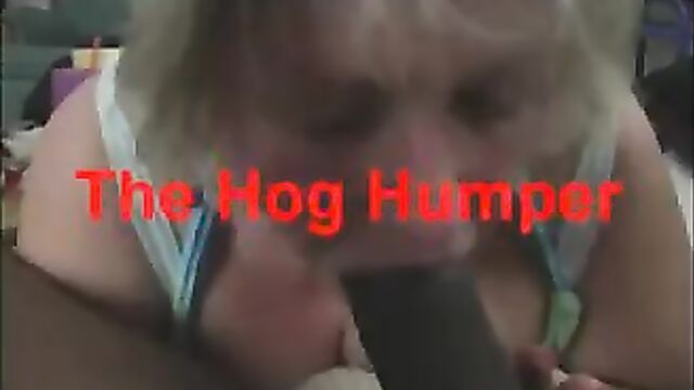 TheHogHumper - Racial Name Calling & Black Dick Sucking
