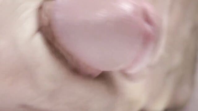 Close up cock cumming in slow motion
