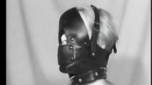 Heavy leather head harness