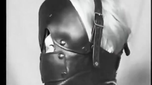 Heavy leather head harness